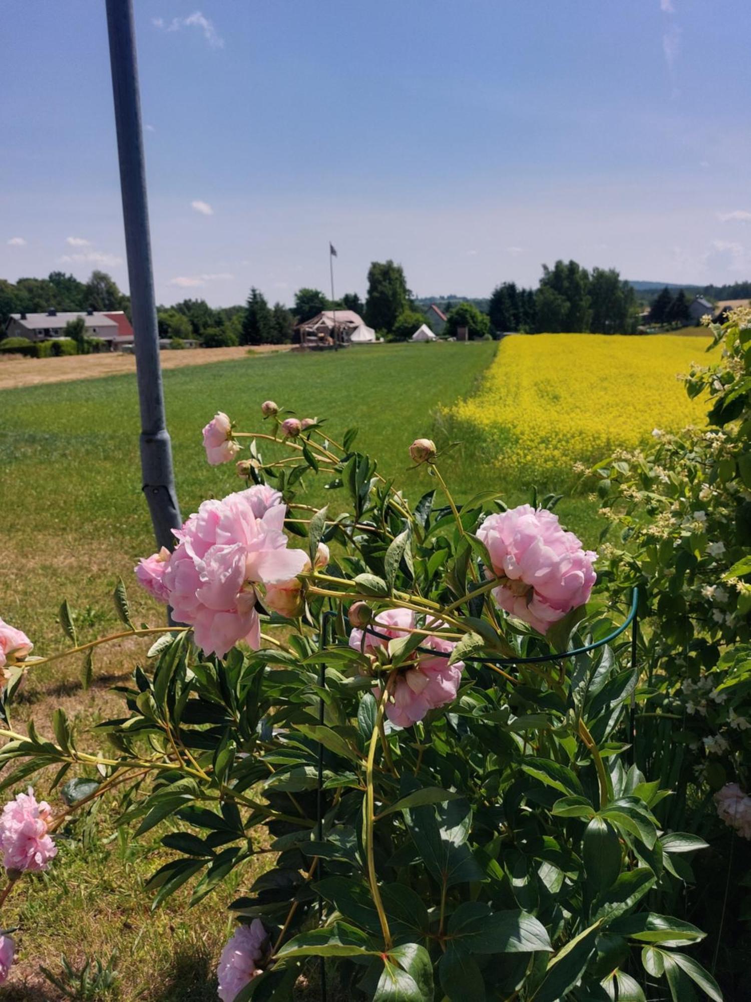 فندق Autark-Camp Gleis A. Durrhennersdorf المظهر الخارجي الصورة